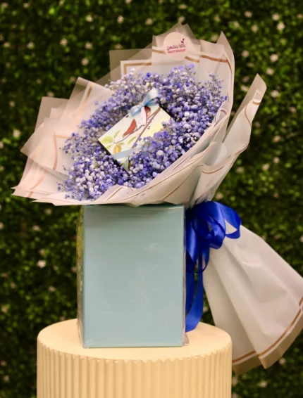 هدوء الأزرق : جبسوفيليا زرقاء وشوكلاتة بلجيكا أنوش